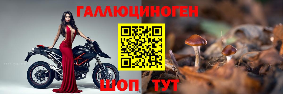 Галлюциногенные грибы мухоморы  Вход с VPN  Чита  Псилоцибиновые грибы Psilocybe 